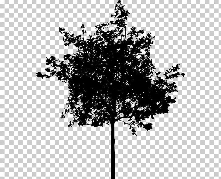 Silhouette PNG, Clipart, Animals, Black And White, Branch, Download, Leaf Free PNG Download