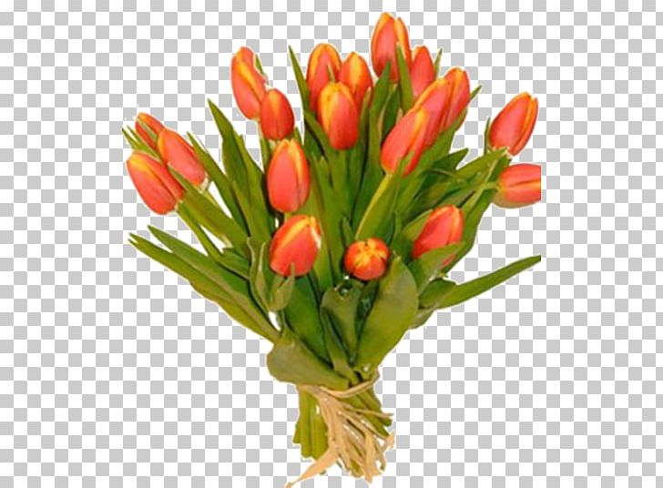 Cut Flowers Tulip Rose Yellow PNG, Clipart, Blue, Blue Rose, Cut Flowers, Floral Design, Florist Free PNG Download
