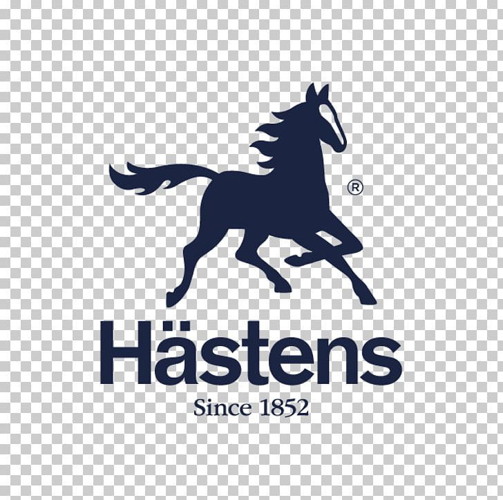 Hästens Bed Mattress Sleepy's Pillow PNG, Clipart,  Free PNG Download