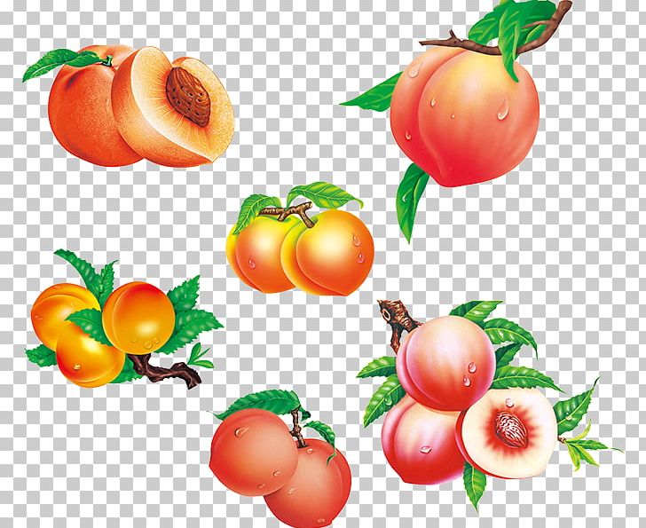 Saturn Peach Fruit Auglis PNG, Clipart, Acerola Family, Apple, Auglis, Cherry, Food Free PNG Download