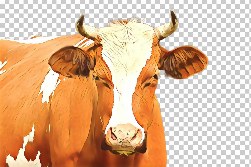 Horn Bovine Snout Cow-goat Family Livestock PNG, Clipart, Bovine, Cowgoat Family, Dairy Cow, Horn, Livestock Free PNG Download