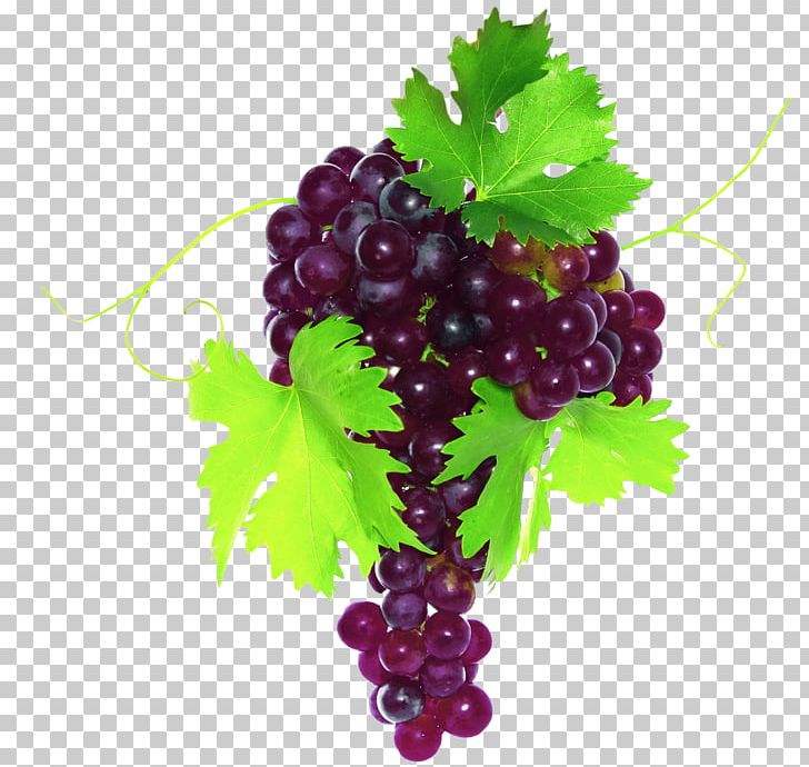 Common Grape Vine Fruit Vegetable Grape Leaves PNG, Clipart, Berry, Currant, Food, Fruit, Fruit Nut Free PNG Download