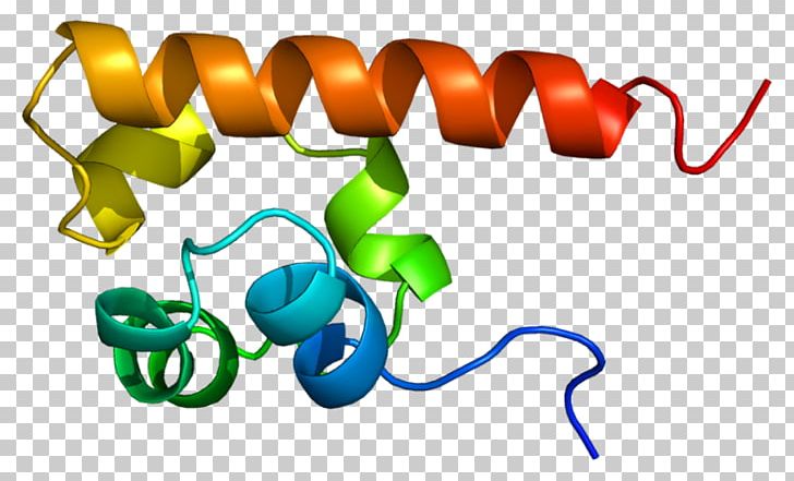EPH Receptor A4 Ephrin Receptor Tyrosine Kinase PNG, Clipart, 1 B, Area, B 0, Cd135, Cell Membrane Free PNG Download