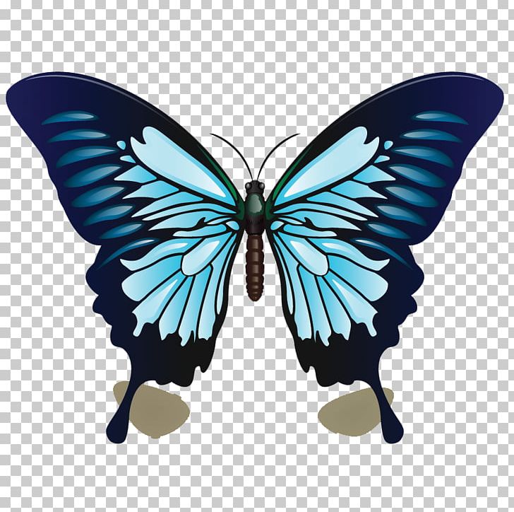 Ulysses Butterfly Color Blue Drawing PNG, Clipart, Arthropod, Blue, Borboletas, Brush Footed Butterfly, Butterfly Free PNG Download