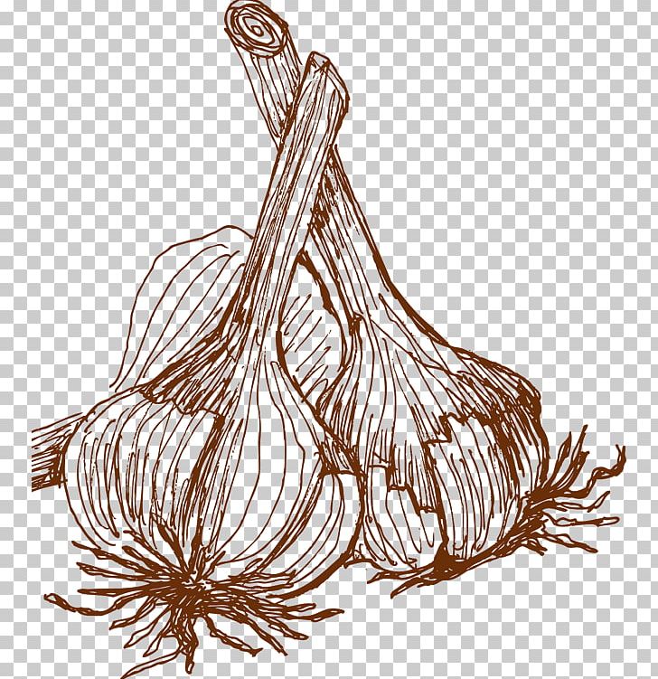 Vegetable Garlic Adobe Illustrator PNG, Clipart, Cartoon, Cartoon Garlic, Drawing, Encapsulated Postscript, Euclidean Vector Free PNG Download