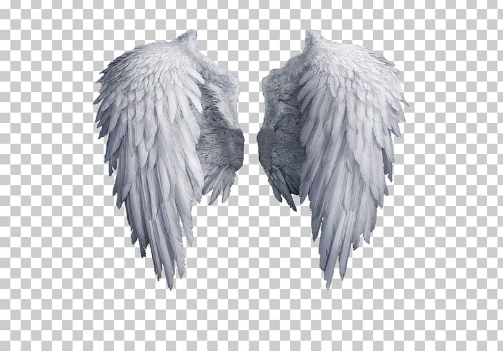 Beginners Guide To Angels PNG, Clipart, Angel, Angel Feathers, Angels, Angel Wing, Art Angel Free PNG Download