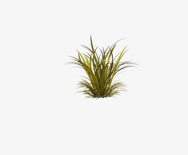 Forest Grass PNG, Clipart, Creative, Creative Grass, Forest Clipart, Grass, Grass Clipart Free PNG Download