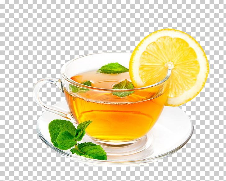 Green Tea Coffee White Tea Ginger Tea PNG, Clipart, Camellia Sinensis, Citrus, Cocktail Garnish, Cup, Drink Free PNG Download