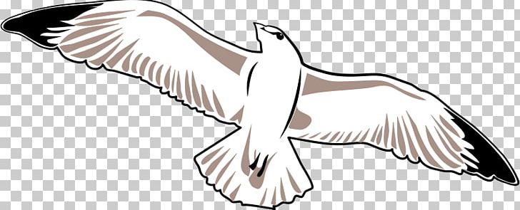 Gulls Open Drawing Bird PNG, Clipart, Arm, Artwork, Beak, Bird, Black And White Free PNG Download