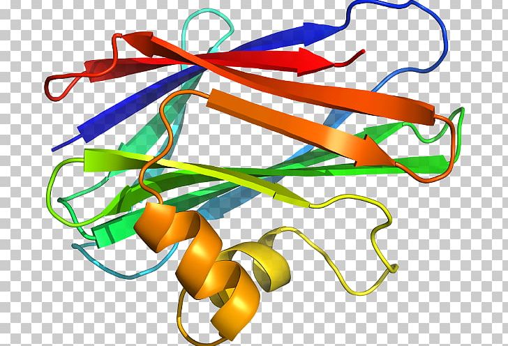 Unicellular Organism Portable Network Graphics Microorganism PNG, Clipart, Area, Art, Arterial Line, Artwork, Download Free PNG Download