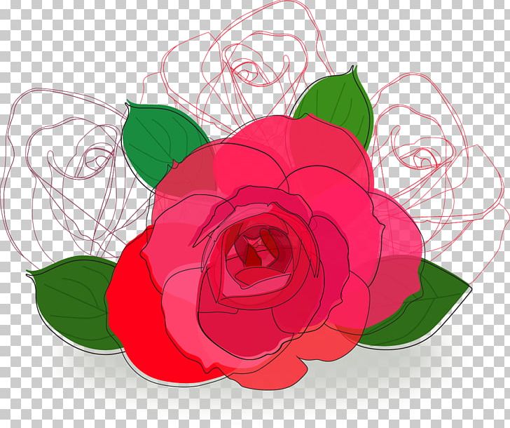 Beach Rose Flower Drawing PNG, Clipart, Abstract Lines, Bright, Cut Flowers, Drawing, Euclidean Vector Free PNG Download