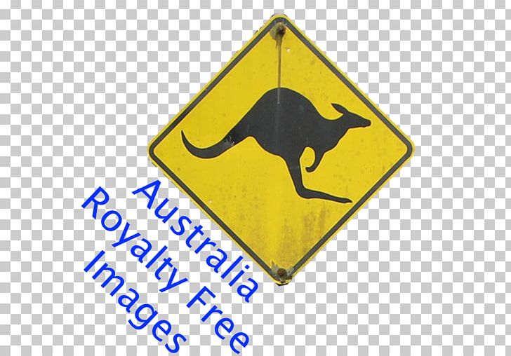 Boxing Kangaroo Australia Koala Stock Photography PNG, Clipart, Animals, Area, Australia, Boxing Kangaroo, Brand Free PNG Download