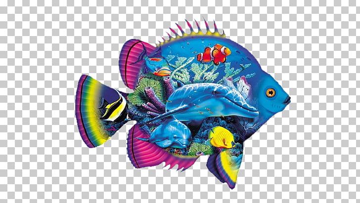 Fish Animaatio Blog PNG, Clipart, Animaatio, Animal, Animals, Blog, Coral Reef Fish Free PNG Download