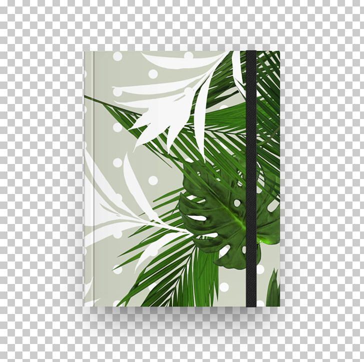 Rectangle Leaf PNG, Clipart, Angle, Glass, Green, Jungle Geranium, Leaf Free PNG Download