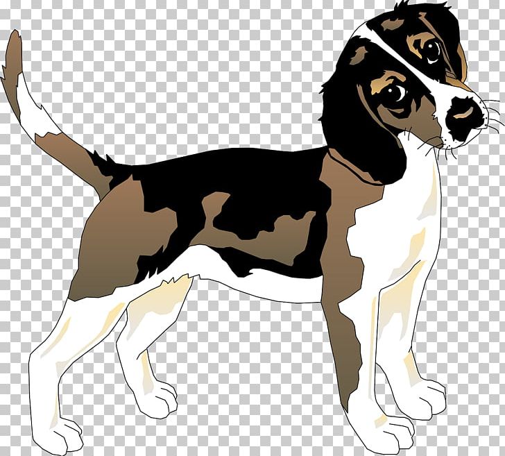 Beagle Basset Hound Siberian Husky Puppy PNG, Clipart, American Foxhound, Animal, Animals, Beagle, Carnivoran Free PNG Download