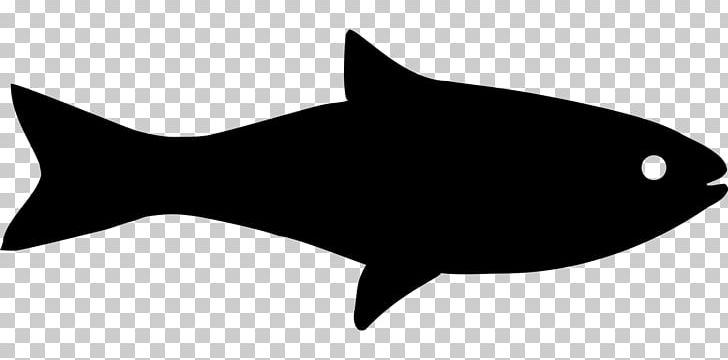Computer Icons Fish PNG, Clipart, Animals, Black, Black And White, Carnivoran, Cat Free PNG Download