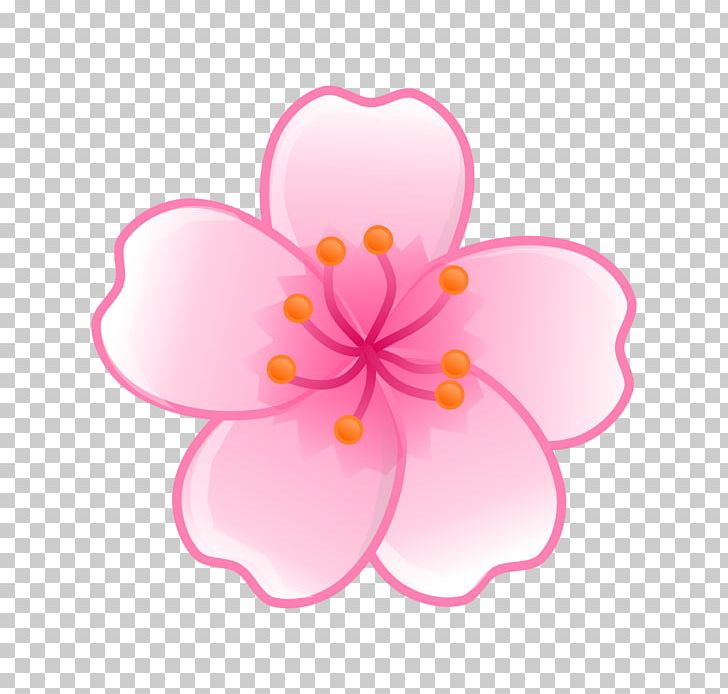 National Cherry Blossom Festival PNG, Clipart, Blossom, Cherry, Cherry Blossom, Clip Art, Drawing Free PNG Download