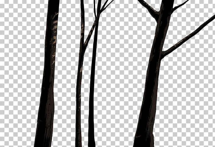 Tree Tiger Plant Monochrome Photography PNG, Clipart, 2016, Black And White, Branch, History, Line Free PNG Download