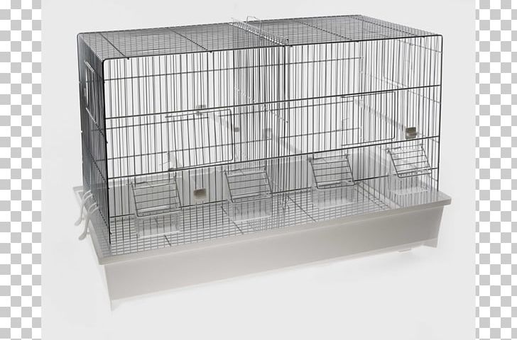 Domestic Canary Cage Bird Mauser Highway M06 PNG, Clipart, Animals, Bathtub, Bird, Cage, Domestic Canary Free PNG Download