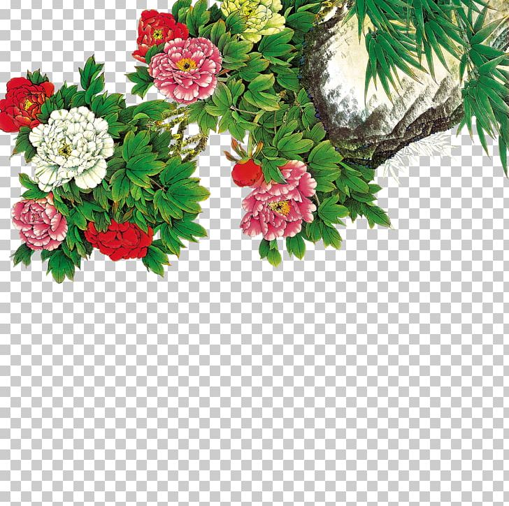 Moutan Peony Floral Design PNG, Clipart, Aquifoliaceae, Branch, Christmas Decoration, Cut Flowers, Evergreen Free PNG Download