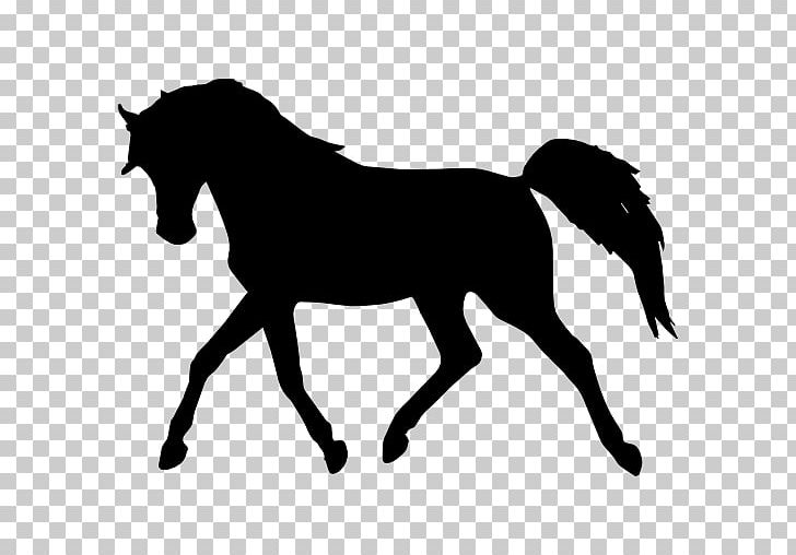 Arabian Horse Silhouette Standing Horse PNG, Clipart, Animal Figure, Animals, Art, Black And White, Bridle Free PNG Download