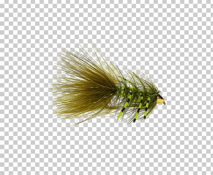 Artificial Fly Woolly Bugger Fly Fishing Bead PNG, Clipart, Artificial Fly, Bead, Bugger, Card, Clothing Free PNG Download