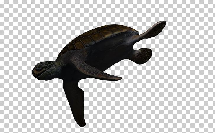 Sea Turtle PNG, Clipart, 3d Arrows, 3d Computer Graphics, Animal, Animals, Aquatic Free PNG Download