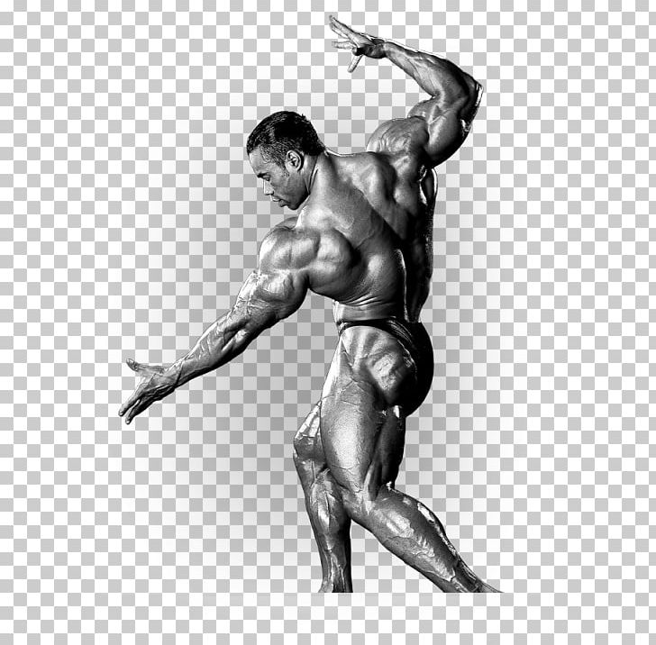 2016 Mr. Olympia 2017 Mr. Olympia Arnold Sports Festival Dietary Supplement Bodybuilding PNG, Clipart, 2016 Mr Olympia, Abdomen, Amino Acid, Arm, Bodybuilder Free PNG Download