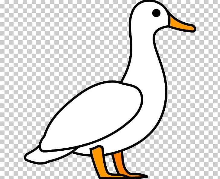 American Pekin Duck Mallard PNG, Clipart, American Pekin, Artwork, Beak, Bird, Black And White Free PNG Download