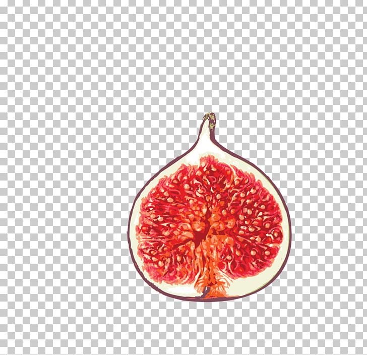 Common Fig Food Auglis Eating PNG, Clipart, Auglis, Christmas Ornament, Citrus, Common Fig, Drinking Free PNG Download