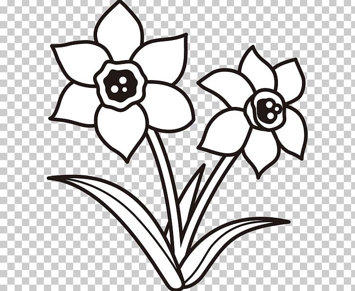 Drawing Monochrome Painting Plant PNG, Clipart, Angle, Artwork, Black And White, Cut Flowers, Daffodil Free PNG Download