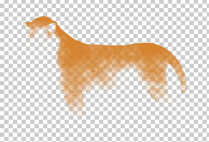 Lion Dog Breed Mane Whiskers PNG, Clipart, Agility, Animals, Big Cats, Breed, Carnivoran Free PNG Download
