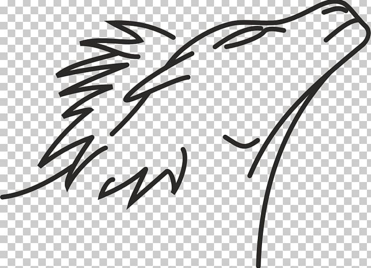 Lion Line Art Drawing PNG, Clipart, Angle, Area, Art, Artwork, Beak Free PNG Download