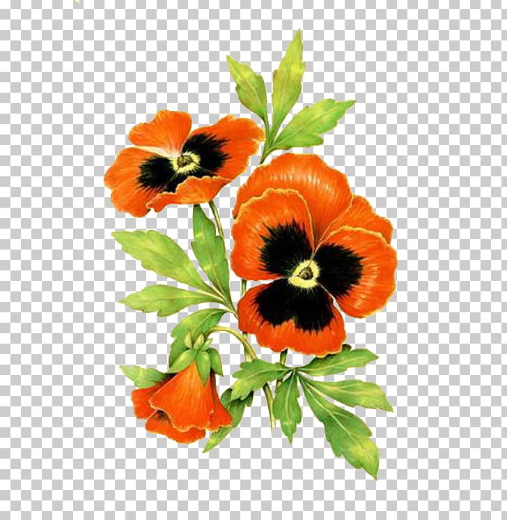 Pansy Flower Paper PNG, Clipart, Annual Plant, Butterfly, Craft, Cut Flowers, Description Free PNG Download