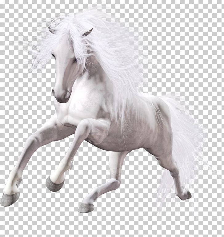 American Paint Horse Stallion White Mare PNG, Clipart, American Paint Horse, Animal, Animal Figure, Black And White, Foal Free PNG Download