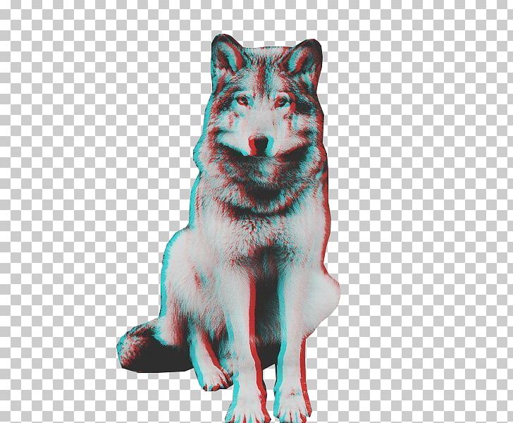 Dog Sticker Gray Wolf PNG, Clipart, 2016, Adobe Flash Player, Animal, Animals, Avatan Free PNG Download