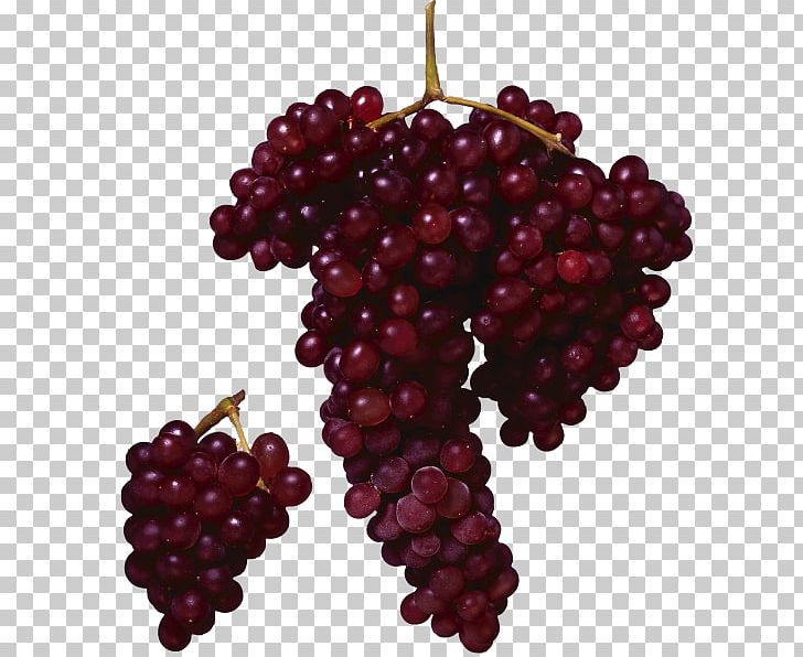 Grape Merlot Wine Juice Fruit PNG, Clipart, Boysenberry, Common Grape Vine, Food, Fruit, Fruit Nut Free PNG Download