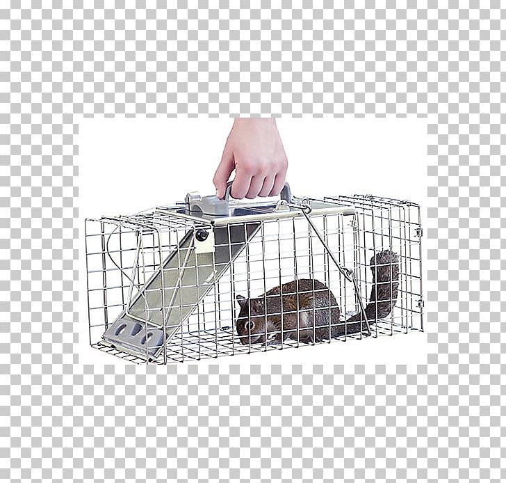 Trapping Cage Pet Door Dog Havahart PNG, Clipart, Aluminium, Animal, Animal Trap, Cage, Canada Free PNG Download