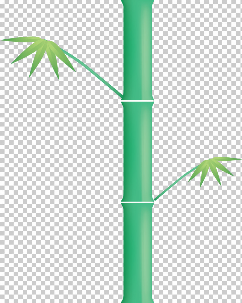 Bamboo Leaf PNG, Clipart, Bamboo, Green, Hemp Family, Leaf, Plant Free PNG Download