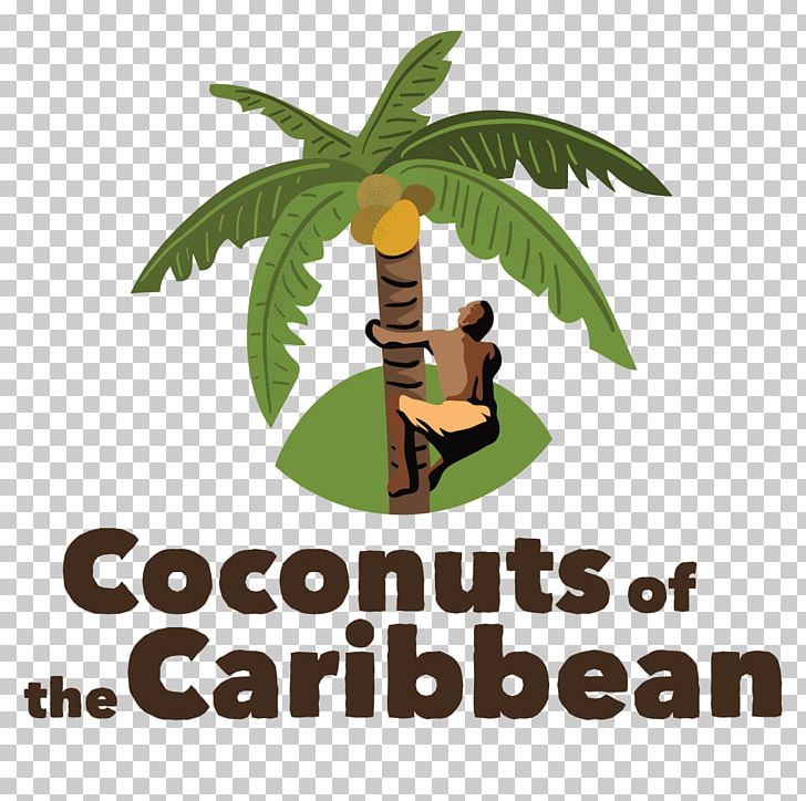 Coconut Day Jamaica Trinidad Tree PNG, Clipart, Beauty, Caribbean, Coconut, Coconut Day, Coconut Oil Free PNG Download