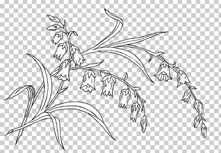 Sketch Mammal Illustration Line Art Graphics PNG, Clipart, Artwork, Black And White, Bohemia Corner, Branch, Cartoon Free PNG Download