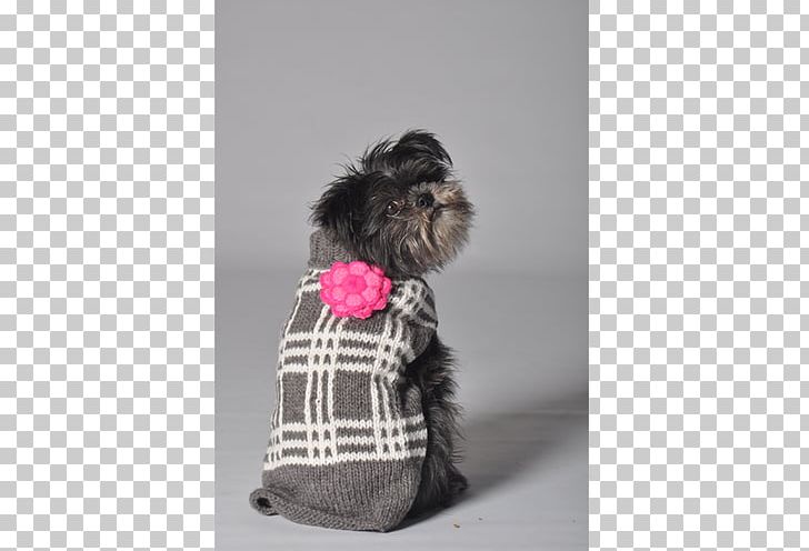 Affenpinscher Dog Breed Schnoodle Puppy Clothing PNG, Clipart, Affenpinscher, Clothing, Coat, Dog, Dog Breed Free PNG Download