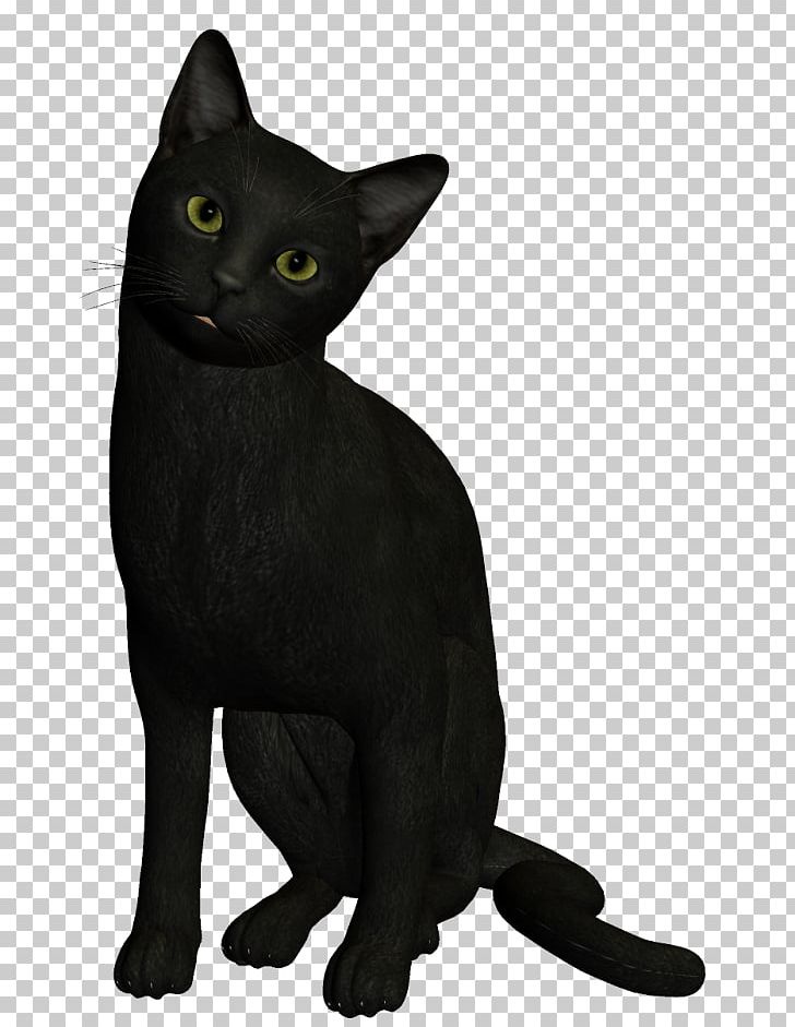 Bombay Cat Black Cat Korat Burmese Cat Havana Brown PNG, Clipart, Animal, Animals, Asian, Black, Black Cat Free PNG Download