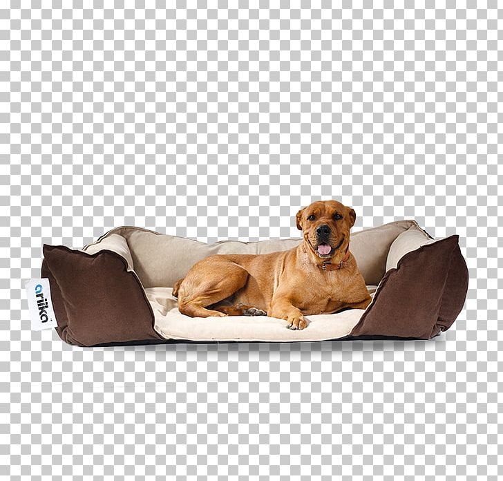 Companion Dog Puppy Bean Bag Chairs PNG, Clipart, Animals, Bean Bag Chair, Bean Bag Chairs, Bed, Canidae Free PNG Download