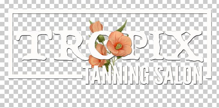 Sun Tanning Sunless Tanning Indoor Tanning Skin Exfoliation PNG, Clipart, Area, Art, Artwork, Bed, Brand Free PNG Download