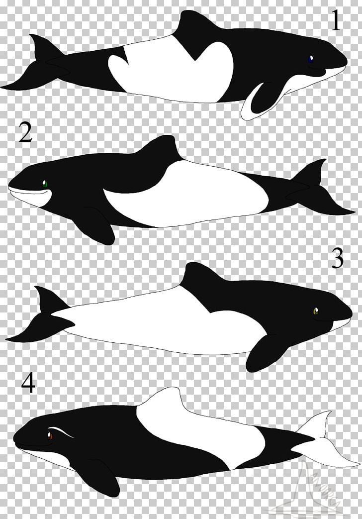 Tucuxi Porpoise Killer Whale Dolphin PNG, Clipart, Animals, Beak, Black And White, Commersons Dolphin, Dolphin Free PNG Download