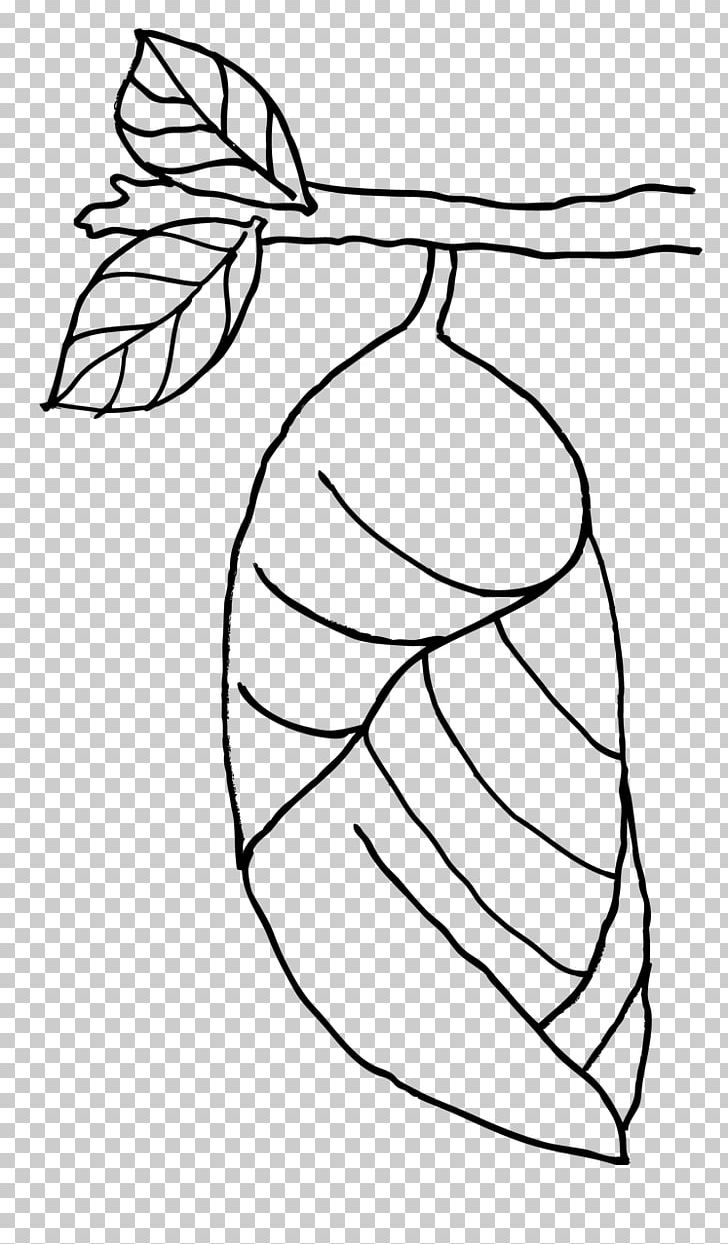 Butterfly Leaf Insect Coloring Book Pupa PNG, Clipart, Art, Artwork, Beak, Black And White, Butterflies And Moths Free PNG Download