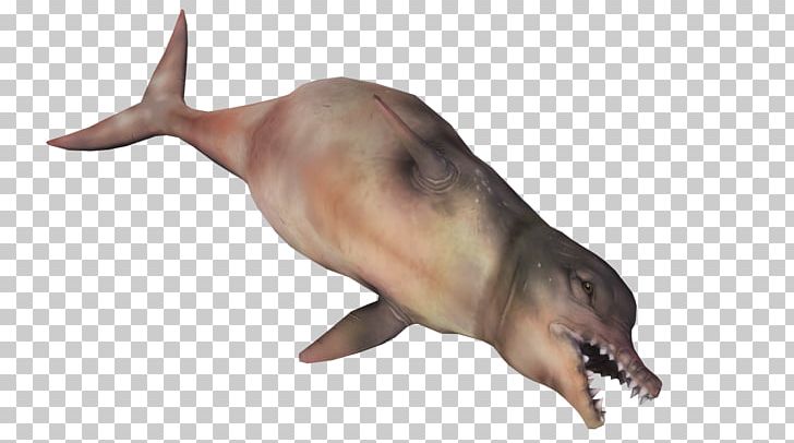 Fallout 4: Far Harbor Fallout: New Vegas Wiki Sea Monster PNG, Clipart, Animals, Bethesda Softworks, Creature, Dolphin, Fallout Free PNG Download