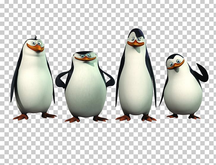 Kowalski Skipper Penguin Madagascar PNG, Clipart, Animals, Beak, Bird, Chris Miller, Chris Rock Free PNG Download
