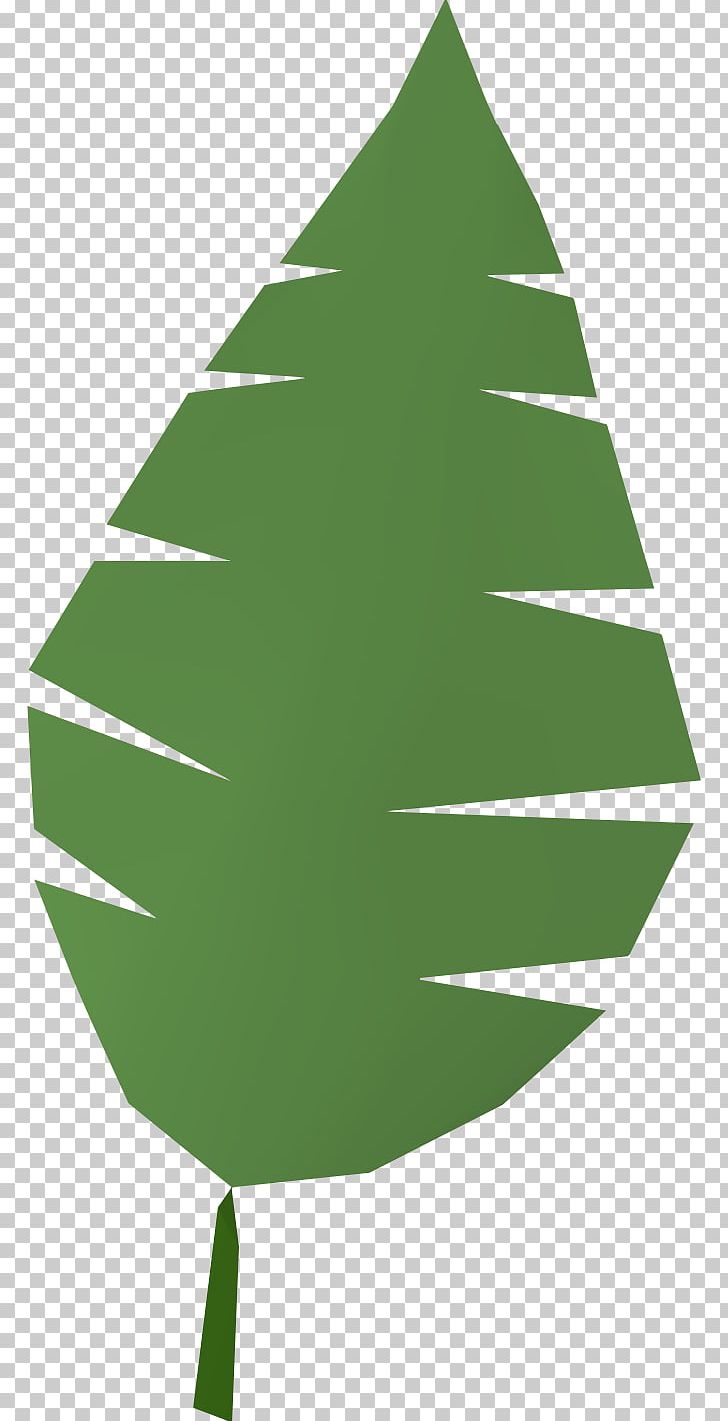 Arecaceae Leaf Palm Branch PNG, Clipart, Alder, Angle, Arecaceae, Buckeye Leaf Cliparts, Christmas Decoration Free PNG Download